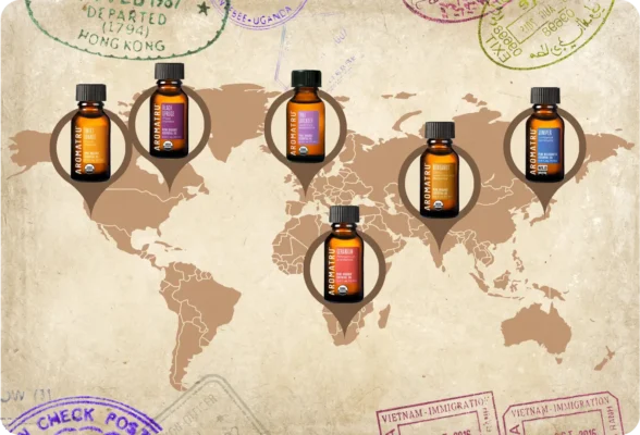 An Aromatic Journey Through Europe & Southeast Asia
