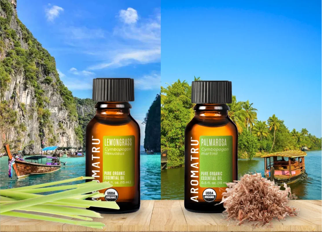 lemon grass and palmasora