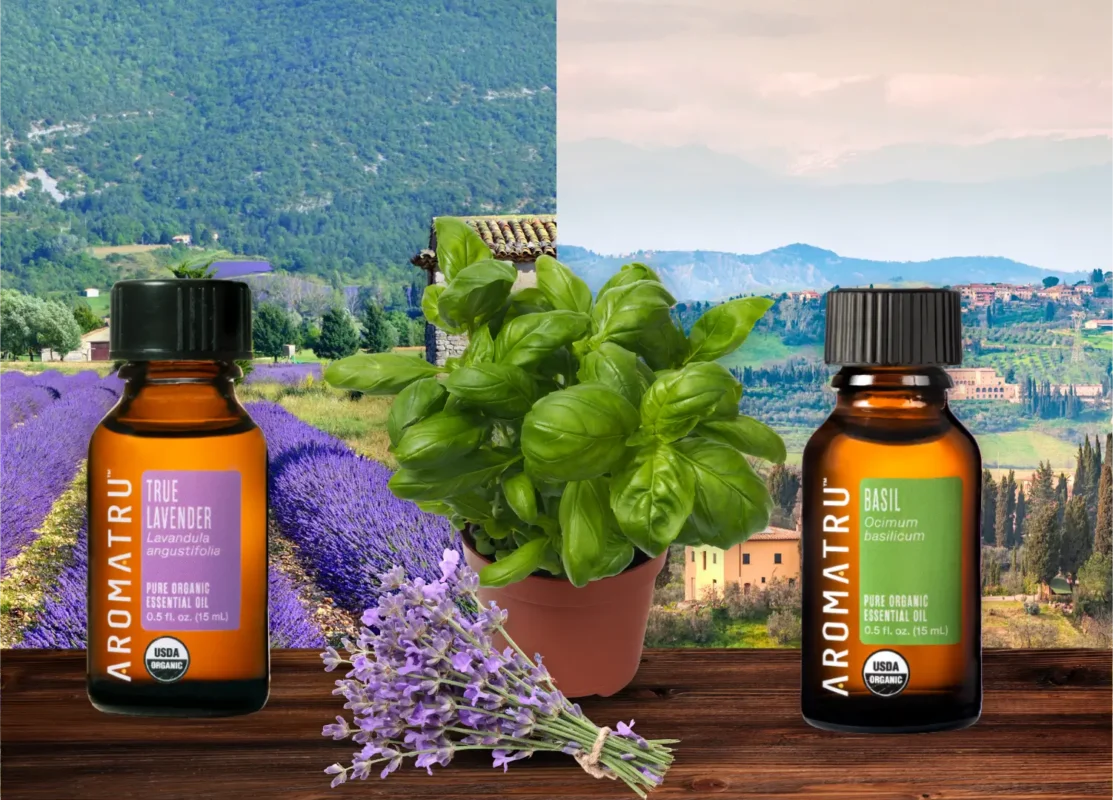 Europe’s Timeless Beauty