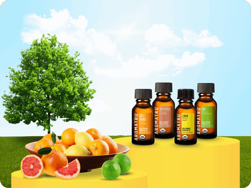 Organic Lemon, Organic Lime, Organic Sweet Orange, Organic Grapefruit in a summer setting