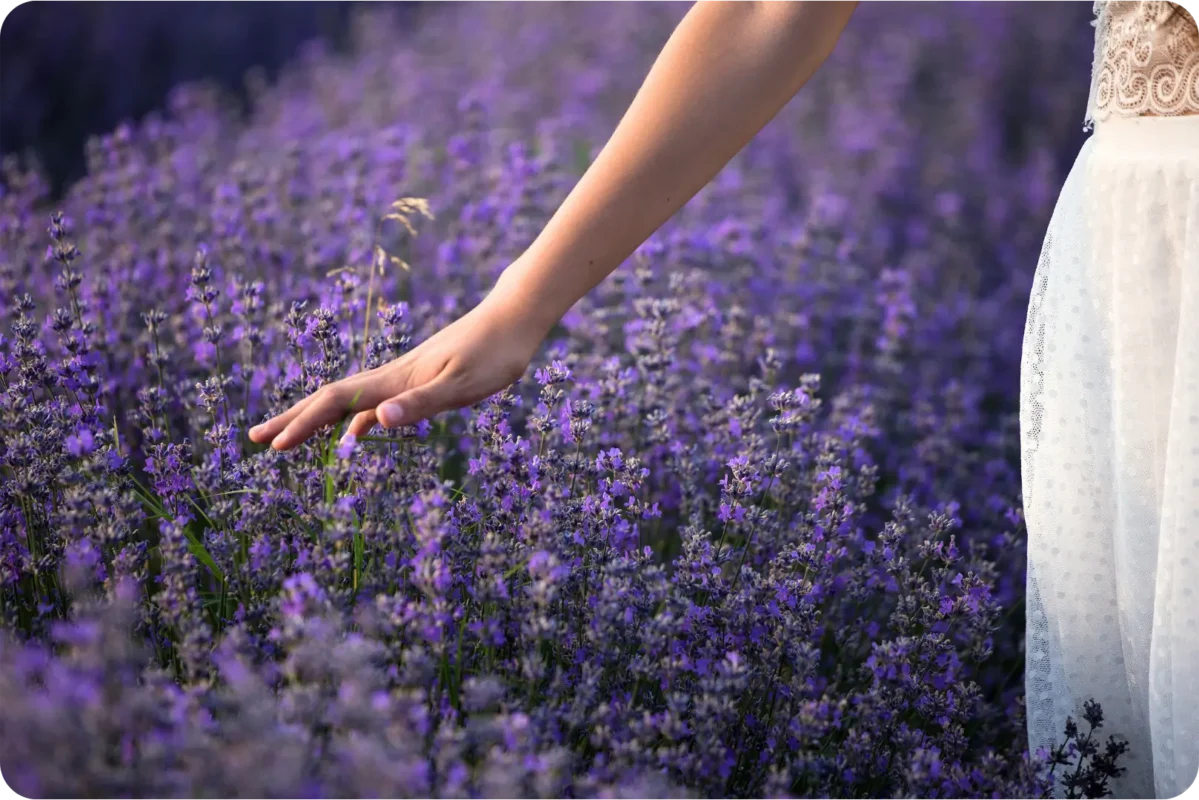 woman's hand on flowers