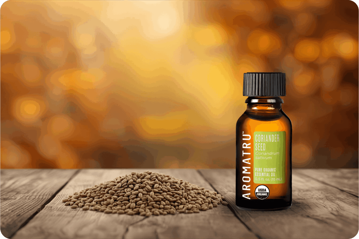Organic Coriander Seed