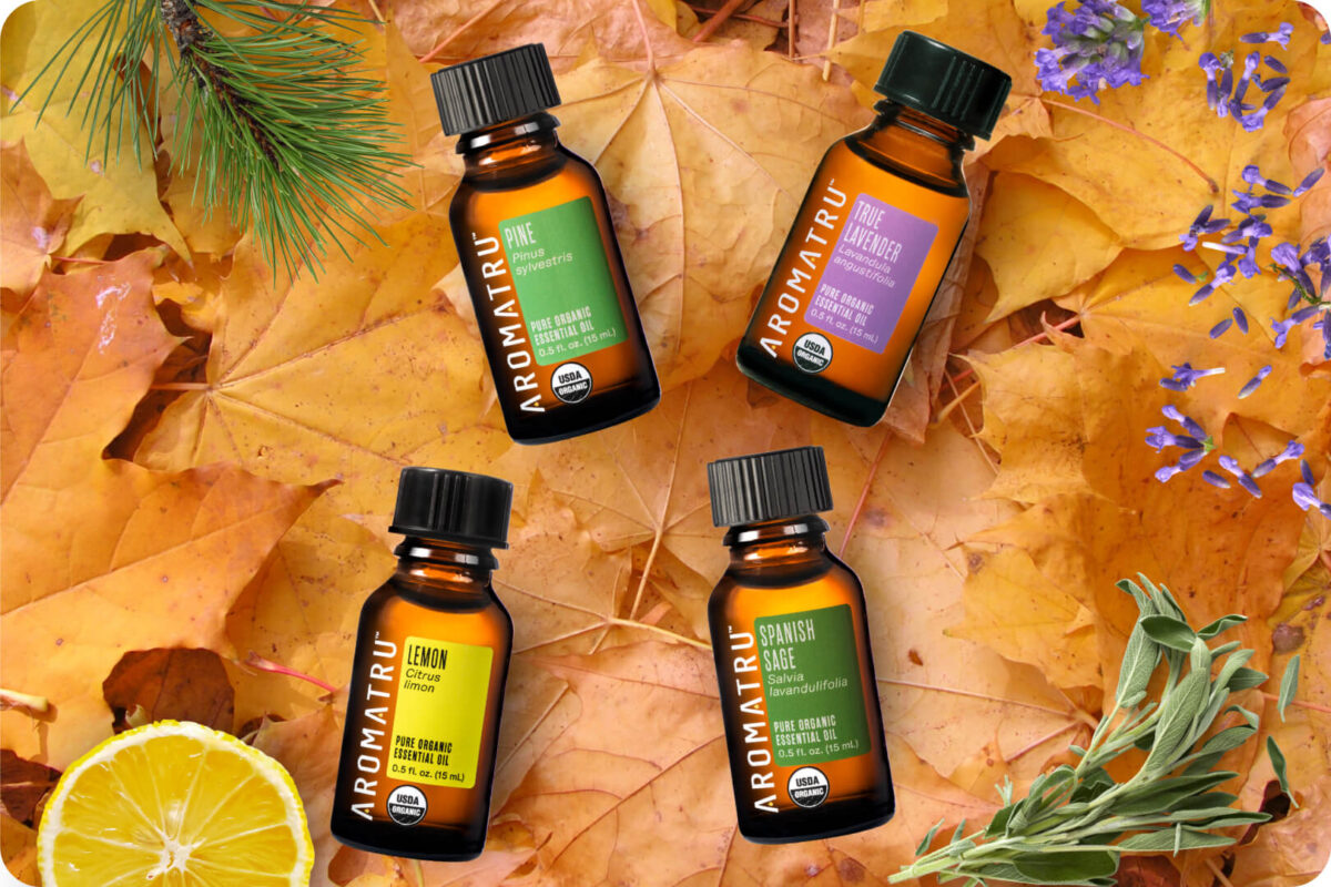 Autumn space sale